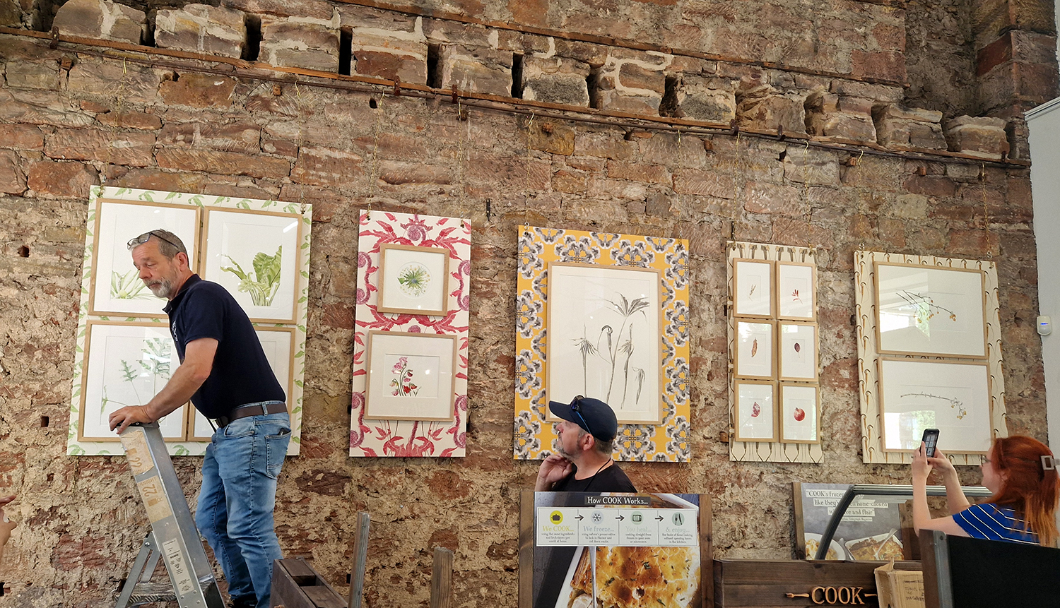 Setting up my Artist Residency at Restoration Yard, Dalkeith Country Park, botanical art prints on wallpapered boards hanging on a stone and brick wall in the Foodhall