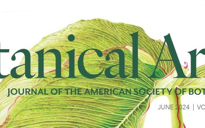 The Botanical Artist – Front Cover featuring Arisaema costatum