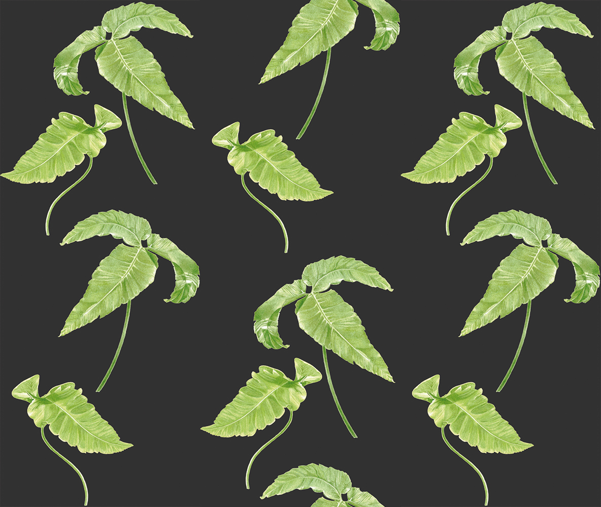 Simple fern dark fabric design including imagery from my Dryopteris sieboldii painting