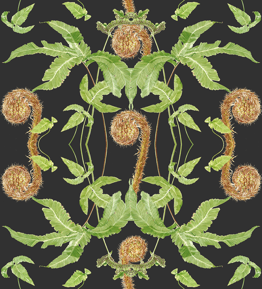 Dark Fern - full colour fabric and wallpaper design including imagery from my Dryopteris affinis and Dryopteris sieboldii paintings