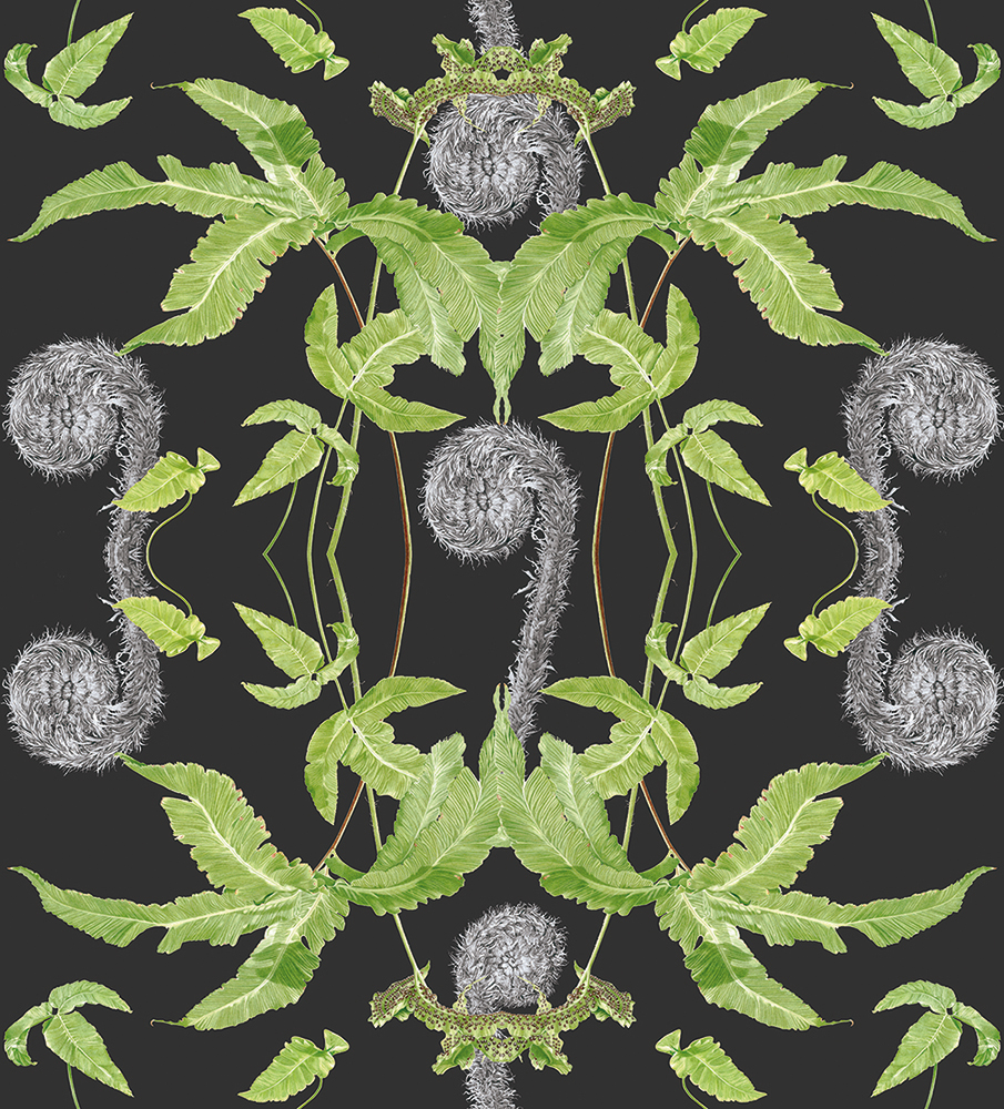 Dark Fern - grey fabric and wallpaper design including imagery from my Dryopteris affinis and Dryopteris sieboldii paintings on 280gsm Soft Velvet