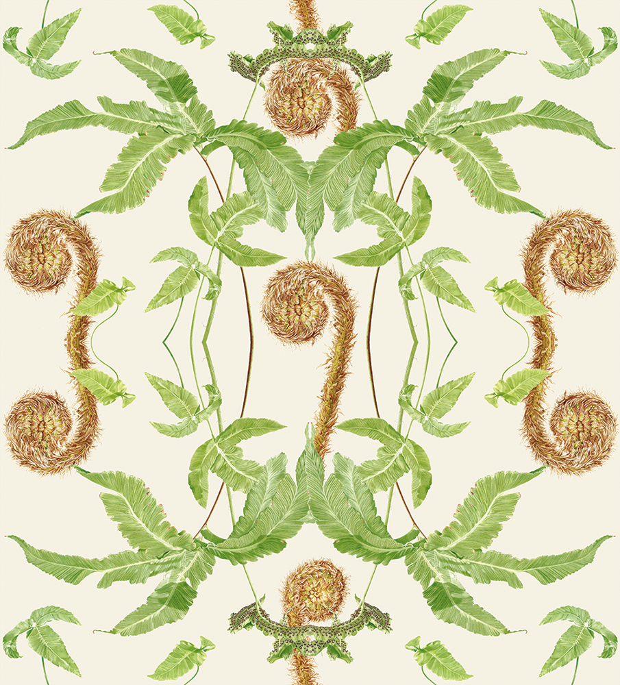 Creme Fern fabric and wallpaper design including imagery from my Dryopteris affinis and Dryopteris sieboldii paintings