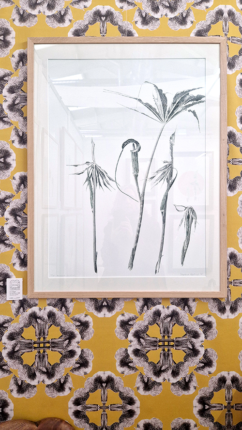 Black and white ink drawing hanging on yellow arisaema wallpaper