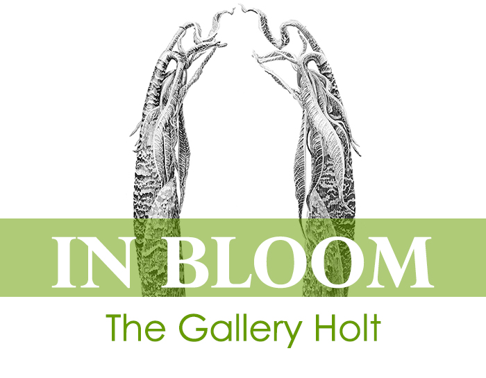 In Bloom at The Holt Gallery - featuring an Ink drawing of Arisaema tortuosum Reflection II by Marianne Hazlewood